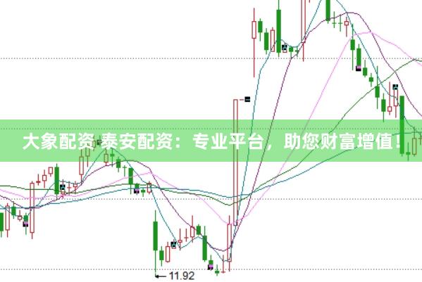 大象配资 泰安配资：专业平台，助您财富增值！
