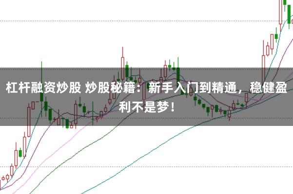 杠杆融资炒股 炒股秘籍：新手入门到精通，稳健盈利不是梦！