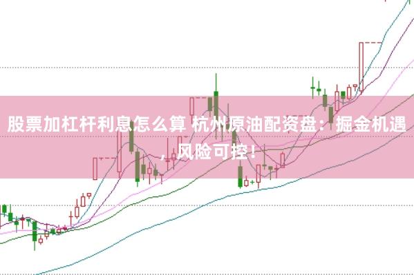 股票加杠杆利息怎么算 杭州原油配资盘：掘金机遇，风险可控！