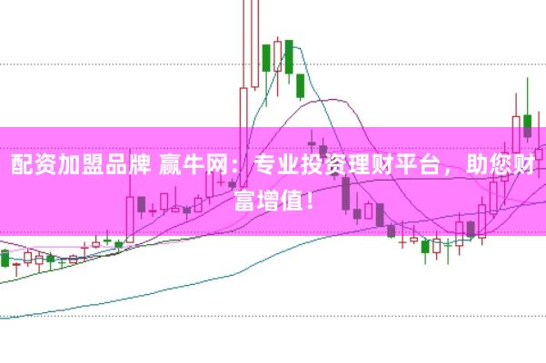 配资加盟品牌 赢牛网：专业投资理财平台，助您财富增值！