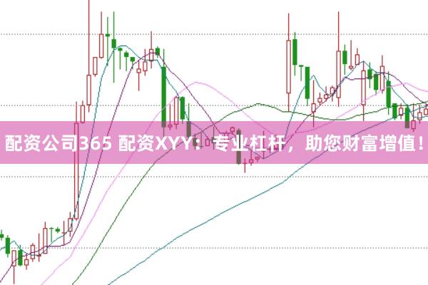配资公司365 配资XYY：专业杠杆，助您财富增值！