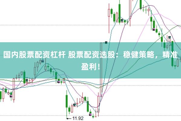 国内股票配资杠杆 股票配资选股：稳健策略，精准盈利！
