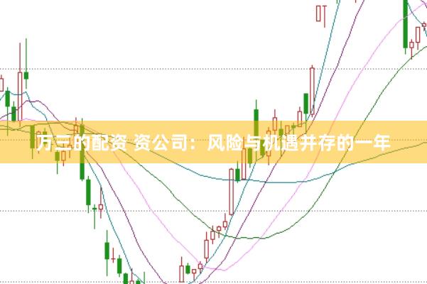 万三的配资 资公司：风险与机遇并存的一年