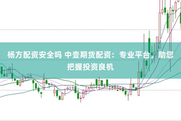 杨方配资安全吗 中壹期货配资：专业平台，助您把握投资良机
