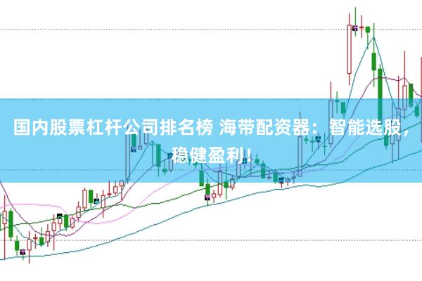 国内股票杠杆公司排名榜 海带配资器：智能选股，稳健盈利！