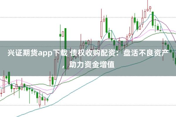 兴证期货app下载 债权收购配资：盘活不良资产，助力资金增值