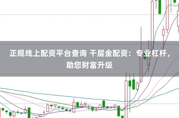 正规线上配资平台查询 干层金配资：专业杠杆，助您财富升级