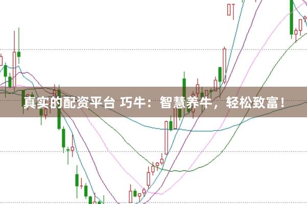 真实的配资平台 巧牛：智慧养牛，轻松致富！