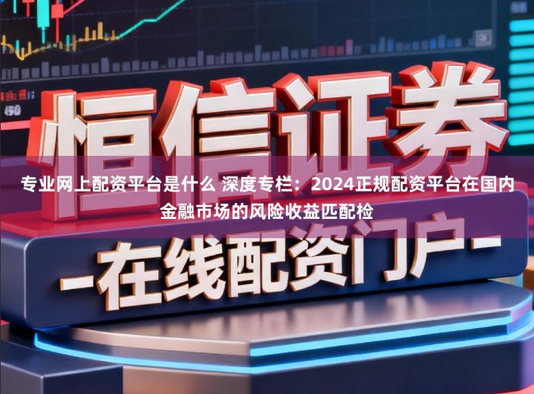 专业网上配资平台是什么 深度专栏：2024正规配资平台在国内金融市场的风险收益匹配检