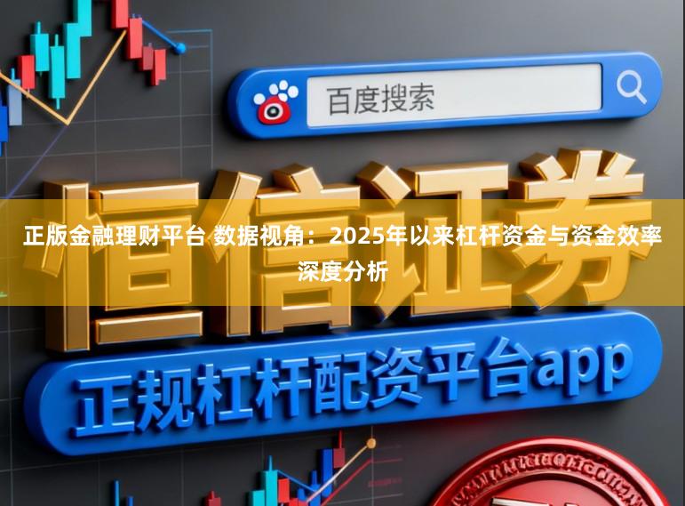 正版金融理财平台 数据视角:2025年以来杠杆资金与资金效率深度分析